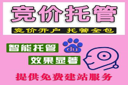 SEM外包助力电商营销案例研究